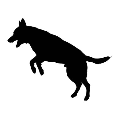 Siyah bir köpek silueti, beyaz bir arka plana atlarken yakalanır. Köpeğin ağzı açık ve kulakları ileri dönük. Bu da tetikte olduğunu ya da heyecanlı olduğunu gösteriyor. Gövdesi açılıdır, ön bacakları açılıdır ve arka bacakları açılıdır.