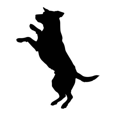 Siyah bir köpek silueti, beyaz bir arka plana atlarken görüntülenir. Köpeğin gövdesi kemerli, ön pençeleri yukarı doğru uzanıyor ve arka bacakları bükülüyor, bu da enerjik bir hareket hissi veriyor. Kulakları permalı, kuyruğu ise...