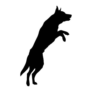 Siyah bir köpek silueti, beyaz bir arka plana doğru orta sıçrayışta yakalanır. Köpeğin gövdesi yukarı doğru açılıdır, ön bacakları açılıdır ve arka bacakları bükülüdür. Ağzı açık, heyecanlı ya da sesli bir anı çağrıştırıyor. Siluet açıkça görülüyor.