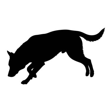 Bir köpeğin siyah silueti orta sıçrayışta, vücudu öne doğru açılı ve bacakları genişlemiş bir şekilde yakalanır. Köpeğin kafası eğik, odaklanmayı ya da takip etmeyi öneriyor. Kuyruğu kalkıyor ve kıvrılıyor, hareket ve enerji hissine ekleniyor. Koyu siyah f