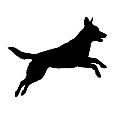 Siyah bir köpek silueti, beyaz bir arka plana doğru sıçramanın ortasında yakalanır. Köpeğin gövdesi ön bacakları öne, arka bacakları da arkaya doğru uzanıyor. Kuyruğu yukarıda ve ağzı açık, bu da efor sarf ettiğini gösteriyor. 