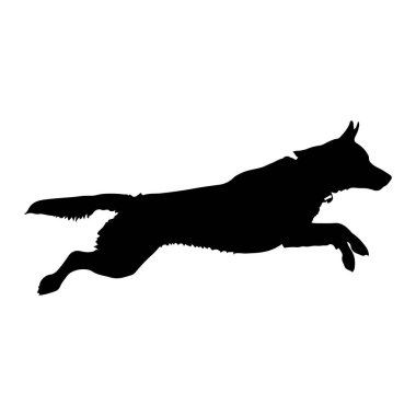 Beyaz bir arkaplana karşı sıçrayışta siyah bir köpek silueti. Köpek sivri kulaklı ve çalı kuyruklu orta ve büyük bir cins gibi görünüyor. Gövdesi öne doğru uzanıyor, ön bacakları öne doğru uzanıyor ve arka bacakları da arkaya doğru uzanıyor.
