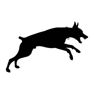 Beyaz bir arkaplana karşı sıçrayışta siyah bir köpek silueti. Köpek, sivri kulaklı ve atletik yapılı bir doberman ya da benzer bir cins gibi görünüyor. Ağzı açık, keskin dişleri ortaya çıkıyor ve vücudu dinamik bir pozda geriliyor.,