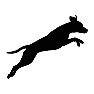 Siyah bir köpek silueti, beyaz bir arka plana doğru orta sıçrayışta yakalanır. Köpeğin vücudu uzamış ve bacakları hareket halindeymiş gibi açılmıştır. Kuyruğu arkasından tutulur ve kulakları öne doğru açılır. Uyarı hissi uyandırır.