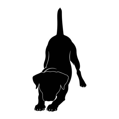 Siyah bir köpek silueti beyaz bir arka plana karşı poz veriyor. Köpeğin gövdesi yere yakın, ön bacakları uzamış ve kıçı yukarıda. Kuyruğu yukarıda tutulur. Köpeğin dış hatları keskin ve temiz, ince bir beyazla.