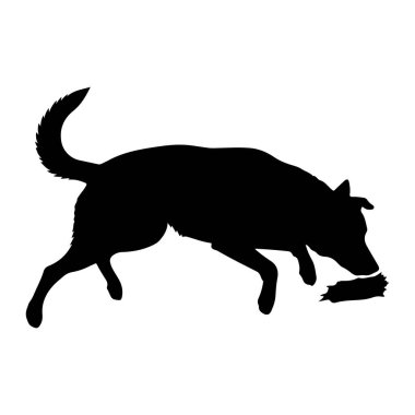 Beyaz arka planda hareket eden siyah bir köpek silueti tasvir edilir. Köpek eğiliyor, ağzı karanlık, düzensiz bir nesnenin yanında, onunla oynadığını ya da etkileşime girdiğini gösteriyor. Kuyruğu kalkık ve kavisli, bacakları ise... 