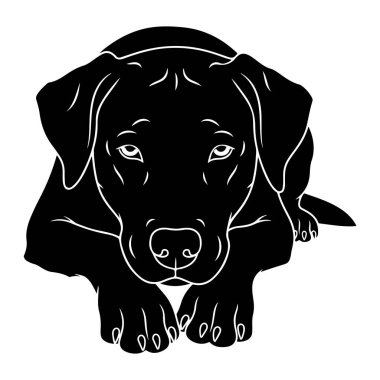 Bir köpeğin kafasının ve ön pençelerinin siyah silueti beyaz arka planda beyazla çizilmiştir. Köpek ön pençeleri ileri doğru uzanmış şekilde uzanıyor. Gözler, burun ve kulak şekli gibi detaylar beyaz çizgilerle tanımlanır..