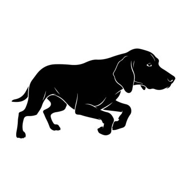 Profilde siyah bir köpek silueti. Koşarken ya da avlanırken orta adımda yakalanmış. Köpeğin pürüzsüz bir vücudu, sarkık kulakları ve odaklanmış bir ifadesi var. Taslak, beyaz bir arka plana karşı temiz ve keskindir. Hayvanın şeklini vurgular ve hareket ettirir.