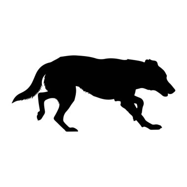 Siyah bir köpek silueti, koşuyor gibi görünen bir yürüyüşün ortasında yakalanır. Köpek profilden tasvir edilir, yüzü sağa dönük, vücudu uzamış ve bacakları hareket halindedir. Kuyruğu arkasından uzanıyor ve başı hafifçe eğik.