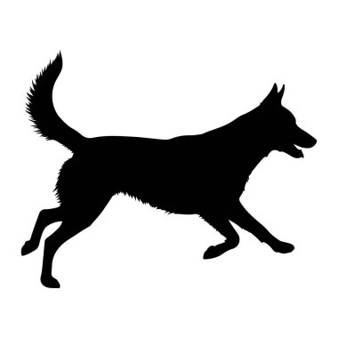 Bir köpeğin siyah silueti, beyaz bir arka plana karşı dinamik bir şekilde koşarken yakalandı. Köpeğin vücudu uzamış, güçlü bacaklarını hareket halinde uzatıyor. Kuyruğu yüksek ve gür, ağzı da açık sanki.