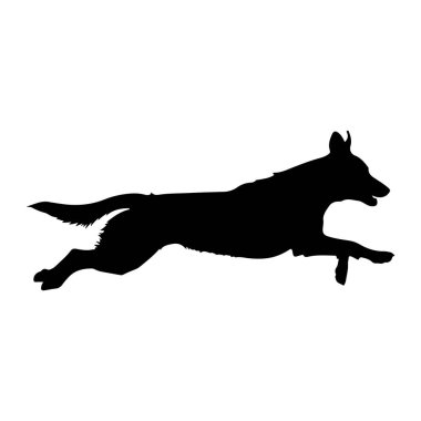 Beyaz bir arka plana karşı dinamik bir duruşta yakalanmış, orta basamaklı siyah bir köpek silueti. Köpeğin vücudu uzamış, bacakları genişlemiş ve kuyruğu akmış, bir hız ve çeviklik hissi yayıyor. Taslak keskin ve belirgin.,