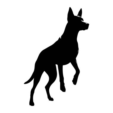 Bir köpeğin siyah silueti tetikte bir şekilde tasvir edilir. Köpek profilden gösterilir, yüzü sağa dönük, başı dik ve kulakları yukarı dönük olarak. Ön bacağının biri kalkık, hareket ya da hazır olduğunu gösteriyor. Siluet tam karşımızda.