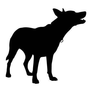 Beyaz arka planda duran siyah bir köpek silueti. Köpek sanki havlıyormuş gibi ağzı açık bir şekilde sağa bakıyor. Boynunda bir tasma var. Siluet temiz ve basit, hayvanın şeklini vurguluyor..