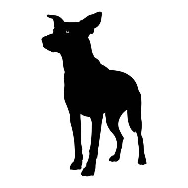 Beyaz bir arka planda siyah bir köpek silueti dikkatle duruyor. Köpek, kulaklarını dikmiş ve vücudunu dikkatli bir şekilde sol tarafa bakıyor. Tek bir beyaz göz, kara çizginin içinde görünür. Görüntü basit bir grafik repres