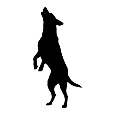 Bir köpeğin siyah silueti arka ayakları üzerinde duruyor, başı arkaya eğik ve ağzı sanki uluyormuş gibi açık. Köpeğin vücudu uzamış ve kuyruğu hafifçe kıvrılır. Siluet, düz beyaz bir arkaplan üzerinde durarak, şeklini vurguluyor ve 