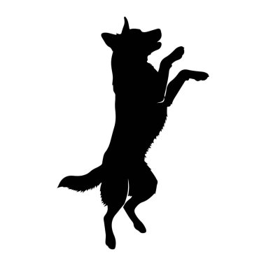 Siyah bir köpek silueti, beyaz bir arka plana atlarken görüntülenir. Köpek ön pençeleri yukarıya doğru uzanmış, arka ayakları üzerinde duruyor. Kuyruğu kıvrımlı ve kulakları sivri. Köpeğin ağzı açık, bu da enerjiyi gösteriyor.