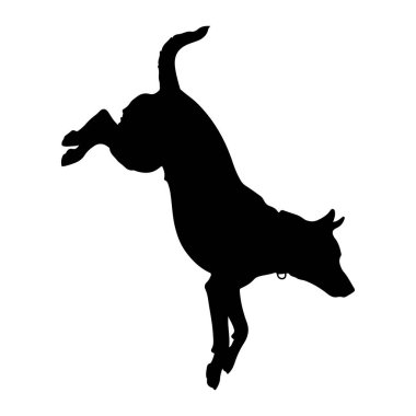 Siyah bir köpek silueti, beyaz bir arka plana doğru orta sıçrayışta yakalanır. Köpeğin vücudu dinamik bir hareketle bükülür, bacakları açılır ve kuyruğu yukarı doğru kıvrılır. Boynunda muhtemelen bir tasmanın parçası olan küçük bir halka görülebilir. T