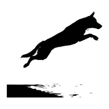 Bir köpeğin siyah silueti, suyun stilize edilmiş bir temsili üzerinden atlarken yatay olarak uzanan bir sıçrayışın ortasında yakalanır. Su, dağınık damlacıklar ya da su damlacıkları ile koyu, soyut bir şekil olarak görünür. Köpeğin şekli keskin ve tanımlı.