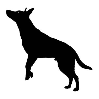 Beyaz arka planda siyah bir köpek silueti tasvir edilir. Köpek ön pençeleri hafifçe yukarıda, arka ayakları üzerinde duruyor, ve kafası yukarı doğru eğik, yukarıdaki bir şeye baktığını gösteriyor. Siluet açıkça özetliyor.