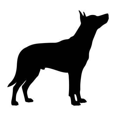 Siyah bir köpek silueti beyaz bir arkaplan karşısında duruyor. Köpek sağa bakıyor ve başını eğik bir şekilde yukarı bakıyor. Kulakları sivri ve kuyruğu düz tutulur. Silüet temiz ve basit, altı çizili
