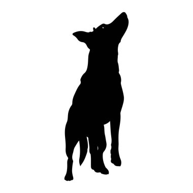 Beyaz arka planda siyah bir köpek silueti tasvir edilir. Köpek oturarak veya çömelmiş bir pozisyonda, başını yukarı doğru eğmiş ve bakışları yukarıdaki bir şeye doğru çevrilmiştir. Kulakları açık, tetikte ya da uyanık olduğunu gösteriyor.