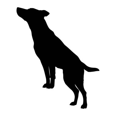 Siyah bir köpek silueti arka ayakları üzerinde durur, ön pençeleri hafifçe yerden kalkar. Köpeğin kafası yukarı doğru eğik ve bakışı yukarıdaki bir şeye bakıyor. Siluet, düz beyaz bir arkaplanda, EMP