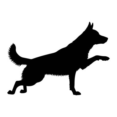 Beyaz arka planda duran siyah bir köpek silueti. Köpek profilden resmedilmiş, sağa dönük. Vücudu zayıf ve atletik. Bir ön pati havaya kaldırılır, sanki bir oyun ya da itaat jesti gibi. Kuyruk kıllı ve kaygan.