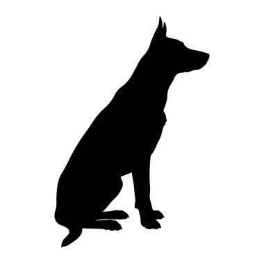 Saf siyah bir köpek silueti dik otururken resmedilir. Köpek başı dik ve kulakları yukarı dönük bir şekilde sağa bakıyor. Bu da tetikte olduğunu gösteriyor. Vücudu zayıf ve kaslı, ön pençeleri yerde ve yerde yan yana.