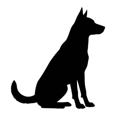 Siyah bir köpek silueti dik ve sağa dönük olarak otururken resmedilir. Köpeğin sivri kulakları, uzun bir burnu ve hafif kıvrık bir kuyruğu vardır. Vücudu pürüzsüz ve duruşu tetikte olduğunu gösteriyor. Arka plan düz beyaz, vurgula