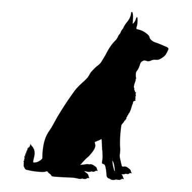 Bir köpeğin siyah silueti beyaz arka planda otururken resmedilir. Köpeğin sivri kulakları vardır ve başı hafifçe sağa dönük olarak tetikte ve dikkatli görünür. Vücudu ön pençeleri görünür bir pozisyonda oturmaktadır.