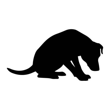 Siyah bir köpek silueti başı eğik bir şekilde otururken resmedilir. Köpeğin kuyruğu yukarı ve aşağı kıvrılır. Pençeleri görünür ve kulakları sarkık. Siluet, düz beyaz bir arkaplanda izole edilmiş..