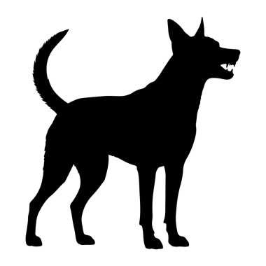 Siyah bir köpek silueti beyaz bir arkaplan karşısında duruyor. Köpeğin ağzı açık, bir hırıltıda dişlerini gösteriyor. Kuyruğu kalkık ve kıvrımlı, kulakları öne dönük. Siluet açıkça köpeğin vücudunu ve bacaklarını tanımlıyor.
