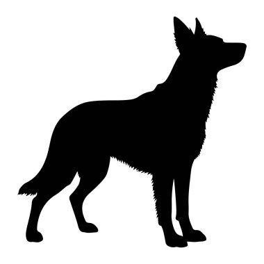 Siyah bir köpek silueti beyaz bir arkaplan karşısında duruyor. Köpek başı dik, kulakları yukarda tasvir edilir, bu da tetikte olduğunu gösterir. Bacakları, kuyruğu ve kürk dokusunun açık hatları ile gövdesi simsiyahtır. Başla!