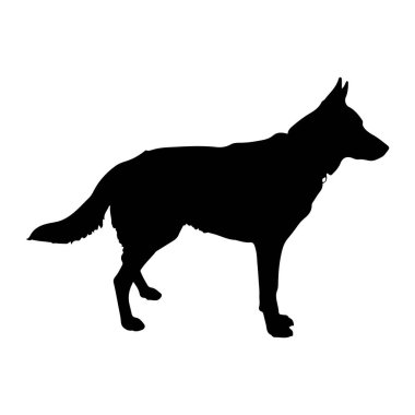 Siyah bir köpek silueti beyaz bir arkaplan karşısında duruyor. Köpek, muhtemelen bir Alman çoban köpeği ya da benzeri, dikleşmiş kulakları ve gür kuyruğu olan orta büyüklükte bir hayvana benziyor. Sağa bakıyor, başı dik ve ben...