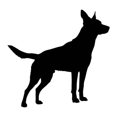 Katı siyah bir köpek silueti, tipik beyaz bir arka plana karşı profilde yer alırken resmedilir. Köpek başı yukarıda ve kulakları yukarda sağa bakıyor, bu da dikkatli bir duruş ya da uyarı olduğunu gösteriyor. Kuyruğu da yukarıda.
