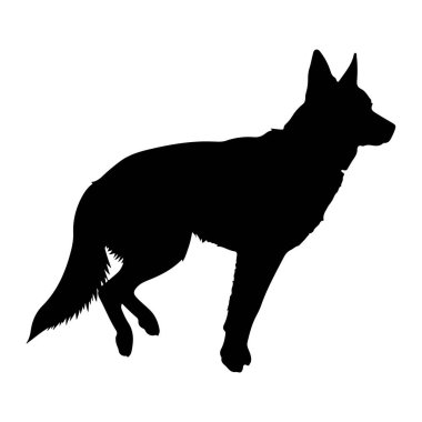 Siyah bir köpek silueti, muhtemelen bir Alman çoban köpeği, beyaz bir arka plan karşısında duruyor. Köpek, başı hafifçe sağa dönük, kulakları dik ve kuyruğu uzamış şekilde dengeli bir şekilde tasvir edilir. Taslak açıkça mü 'yü tanımlıyor