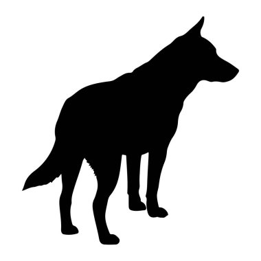 Katı siyah bir köpek silueti, tipik beyaz bir arka plana karşı profil oluşturur. Köpek, başı hafifçe sağa dönük ve kulakları yukarı dönük olarak tetikte görünüyor. Vücudu zayıf ve kaslıdır, kuyruğu hafifçe aşağıda tutulur. Polis.