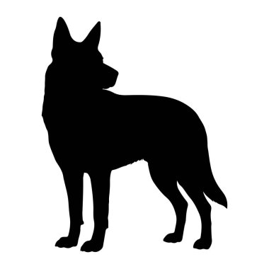 Beyaz arka planda duran siyah bir köpek silueti. Köpek başını omzunun üstünden geçirmek için dönük olarak sola bakıyor. Kulakları dikleşmiş ve vücudu dengeli. Bu da tetikte olduğunu gösteriyor. Siluet açıkça köpeğin şeklini tanımlıyor.