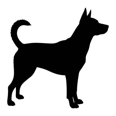 Katı siyah bir köpek silueti beyaz bir arkaplan karşısında duruyor. Köpeğin dik, sivri kulakları, uzun bir burnu ve zayıf ve kaslı bir vücudu var. Kuyruğu yukarı doğru kıvrılmış ve dokulu, gür bir görüntüye sahiptir. Köpeğin bacakları. 