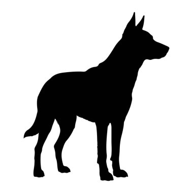 Siyah bir köpek silueti beyaz bir arkaplan karşısında duruyor. Köpek, bedeni sola dönük, başı hafifçe sağa dönük ve kulakları yukarıya dönük olarak tasvir edilir. Kuyruğu geriye doğru tutulur. Siluet açıkça ana hatlarını belirtiyor. 