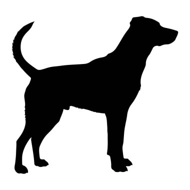 Siyah bir köpek silueti beyaz bir arkaplan karşısında duruyor. Köpek başı hafifçe sağa dönük, kuyruğu yukarı doğru kıvrılmış ve vücudu ayakta durarak tasvir edilir. Taslak keskin ve net. Şekli gösteriyor ki...