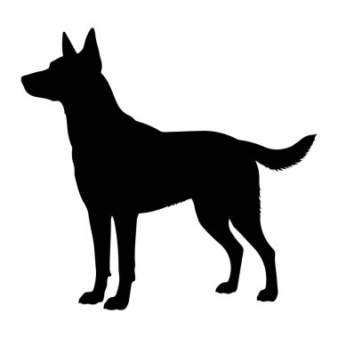 Beyaz arka planda duran bir köpeğin tam vücut silueti. Köpek siyahtır ve profilde sola dönük olarak tasvir edilir. Dik kulakları, kaslı bir vücudu vardır ve kuyruğu hafifçe yukarı doğru tutulur. Siluet temiz ve keskin, iç organı yok.