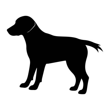 Siyah bir köpek silueti beyaz bir arkaplan karşısında duruyor. Köpek başı sola dönük, vücudu sağa dönük ve kuyruğu hafifçe yukarı doğru tutulmuş şekilde tasvir edilir. Taslak temiz ve keskin, ince beyaz bir çizgi aksantu ile.