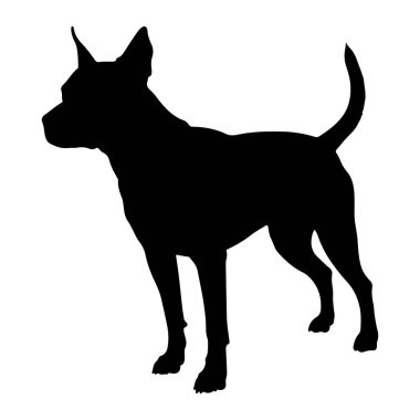 Beyaz arka planda duran siyah bir köpek silueti. Köpek profilden sola bakıyor, kuyruğu yukarı doğru kıvrılmış. Kulakları sivri ve tetikte, vücudu zayıf ve kaslı. Siluet, içinde hiçbir detay bulunmayan koyu siyah bir şekildir.