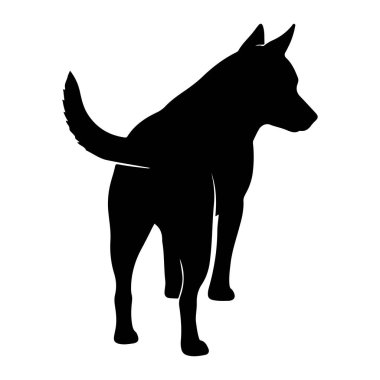 Siyah bir köpek silueti arkası izleyiciye dönük, sağa dönük duruyor. Köpeğin sivri kulakları ve dik duran bir kuyruğu var. Siluet, düz beyaz bir arkaplana karşı katıdır. Anim 'in görsel ve minimalist bir temsilini oluşturur.