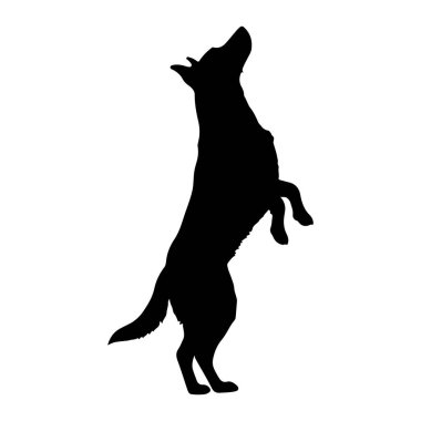 Bir köpeğin siyah silueti arka ayakları üzerinde duruyor, başı yukarı eğilmiş ve ağzı bir şeye bakıyor ya da havlıyor gibi açık. Köpeğin kuyruğu arkasından uzatılır ve ön pençeleri havaya kalkar. Görüntü beyaz bir b üzerinde izole edilmiştir.