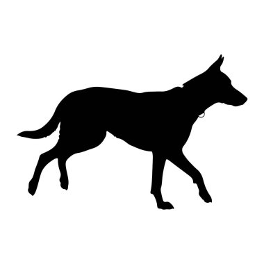 Bir köpeğin siyah silueti profille tasvir edilir, yürürken orta basamakta yakalanır. Köpeğin dik kulakları ve hafifçe yukarı doğru kıvrılan bir kuyruğu vardır. Boynunda ince bir tasma tasması görülebilir. Tüm figür koyu siyah renkle çizilmiş.