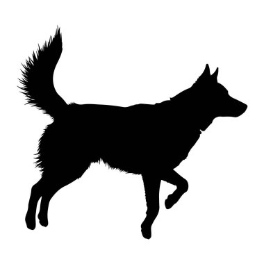 Bir köpeğin siyah silueti profilde bembeyaz bir arkaplanda soldan sağa doğru yürürken tasvir edilir. Köpeğin sivri kulakları, uzun bir kuyruğu var. Bacakları hareket halinde. Bu da hızlı bir yürüyüş ya da yürüme izlenimi veriyor. Siluet açıkça özetliyor. 