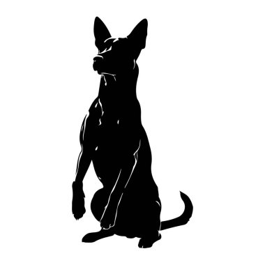 Bir köpeğin siyah silueti düz beyaz bir arka plana karşı arka ayaklarının üzerinde dik otururken tasvir edilir. Köpeğin kulakları yukarı doğru çevrilmiş ve başı yana dönük. Bu da dikkatli bir duruş veya uyarı olduğunu gösteriyor. İnce beyaz çizgiler vurgula