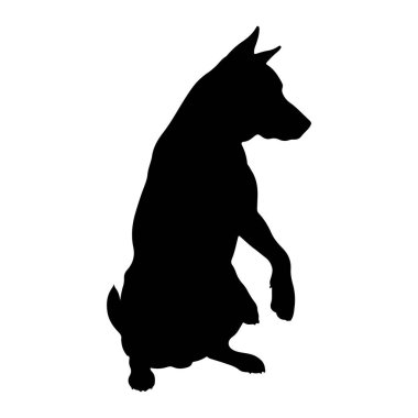 Bir köpeğin siyah silueti ön pençeleri hafifçe yerden kalkmış şekilde dik otururken resmedilir. Köpek profil olarak sağa bakıyor, başı hafifçe öne dönük, tetikte ve dikkatli görünüyor. Arkaplan düz beyaz